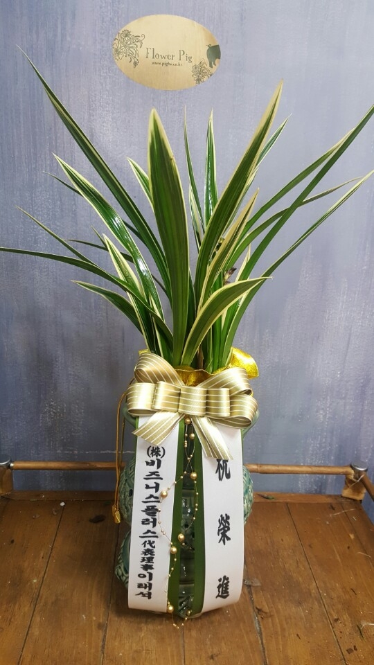 糭