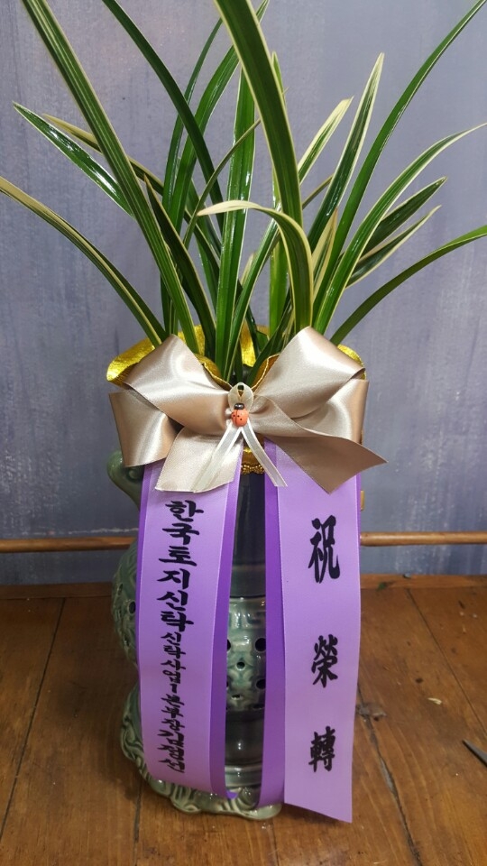 糭