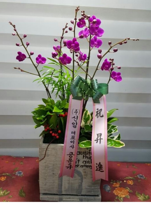 糭
