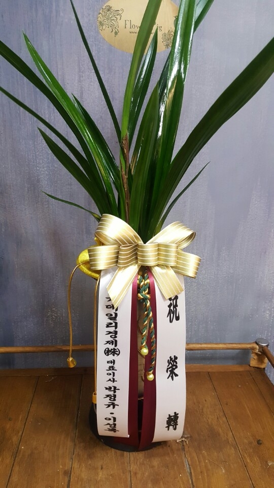糭