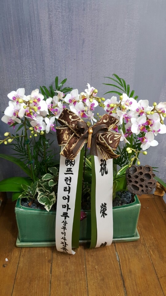 糭