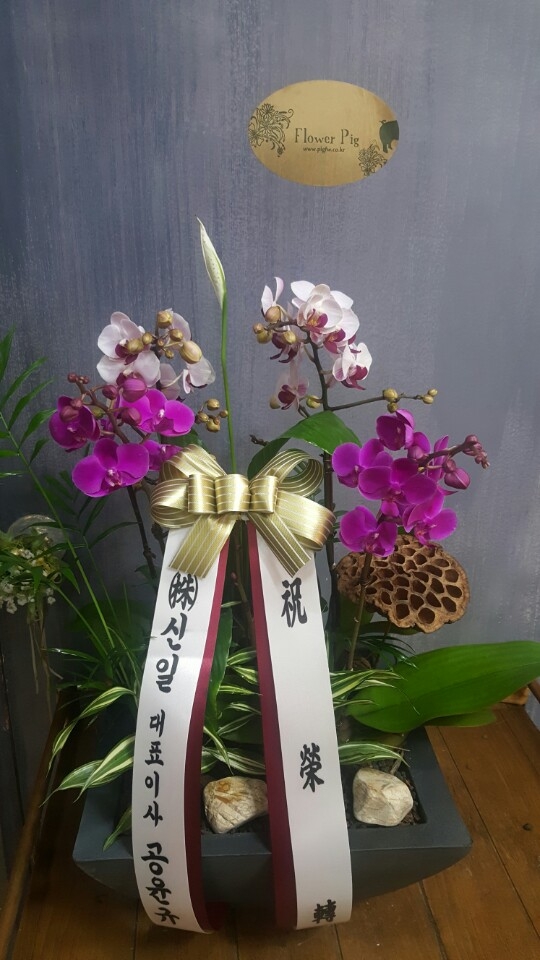 糭