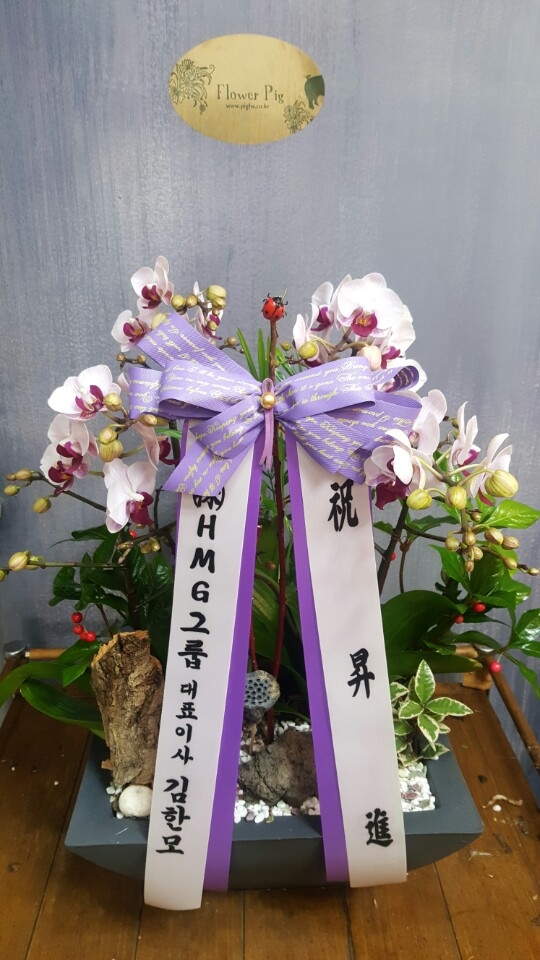 糭