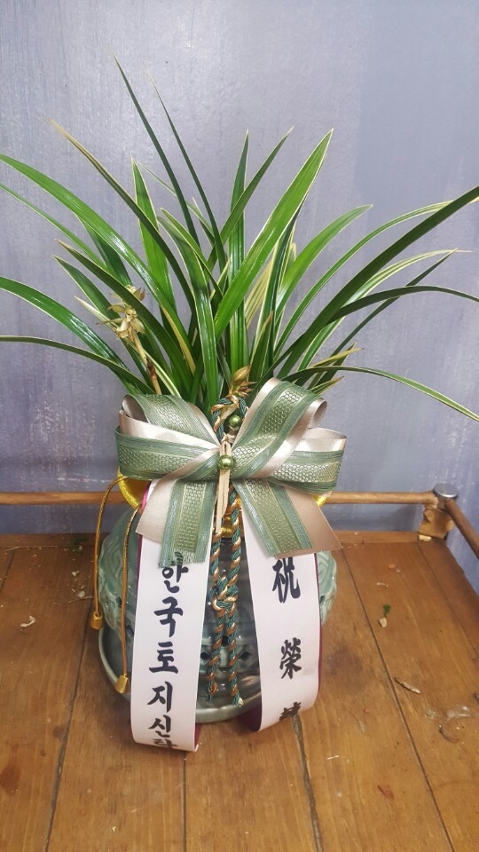 糭