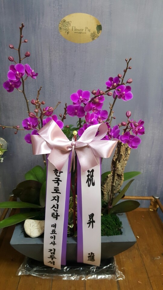 糭