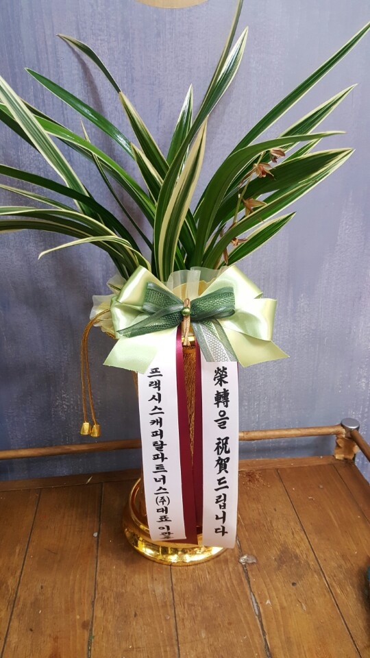 糭