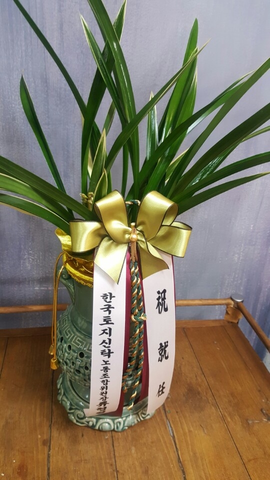 糭