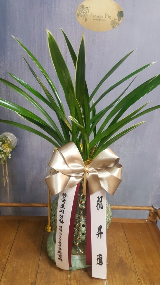 糭