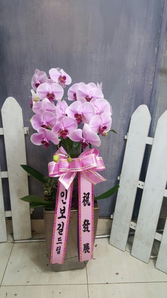 糭