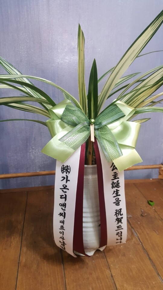 糭