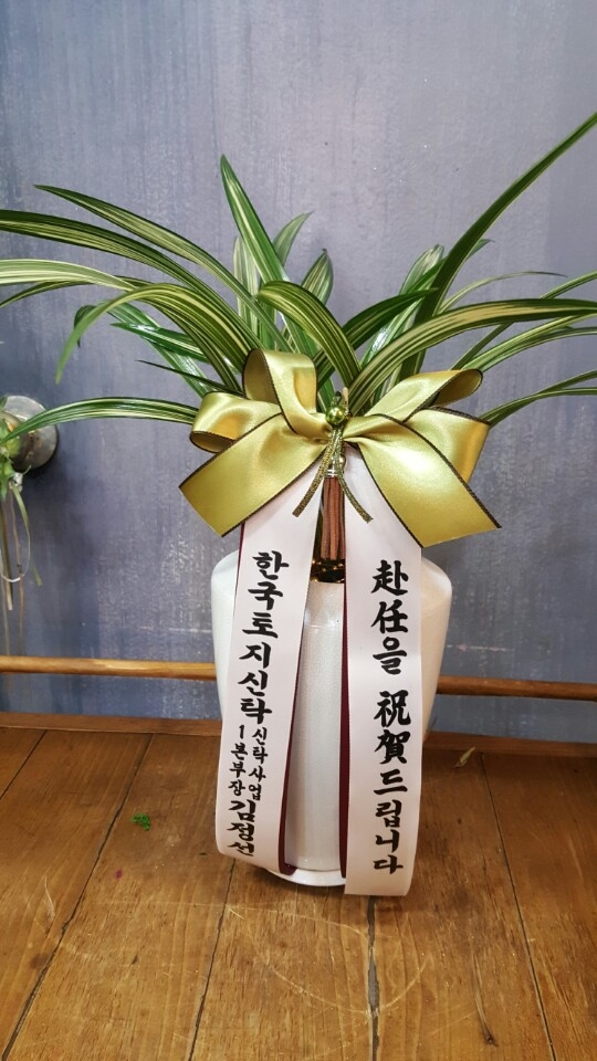 糭