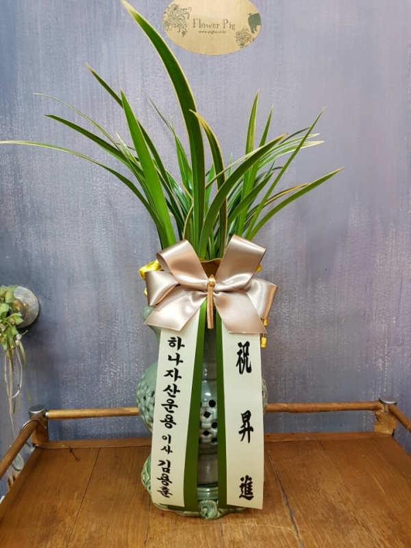 糭