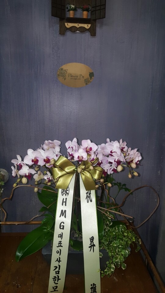 糭
