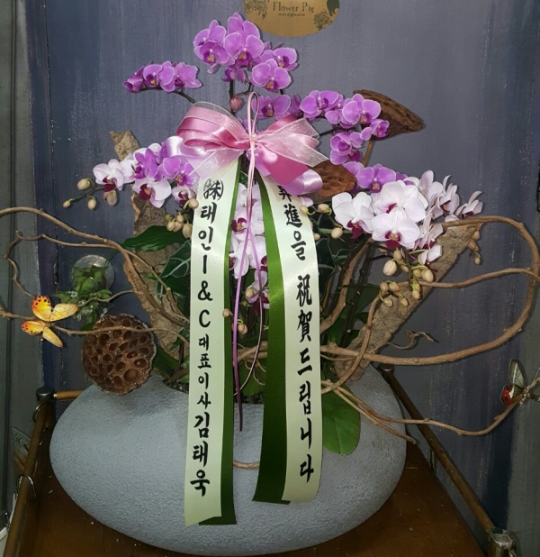 糭
