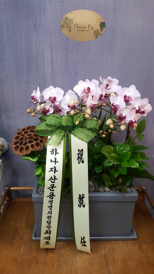糭