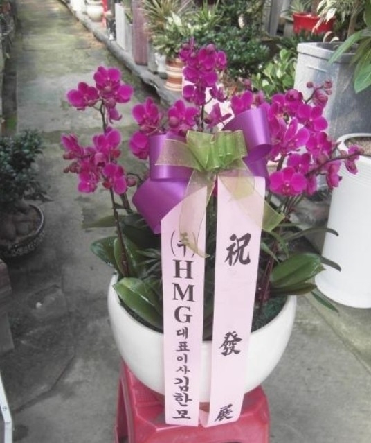 糭