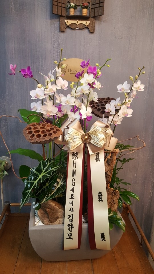 糭