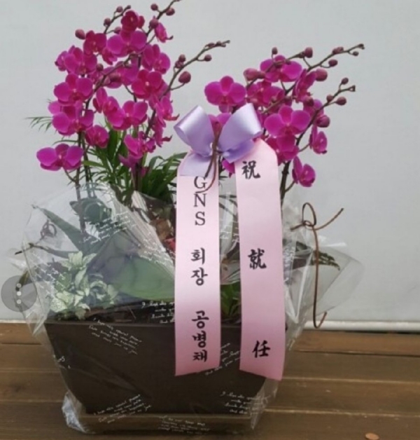 糭