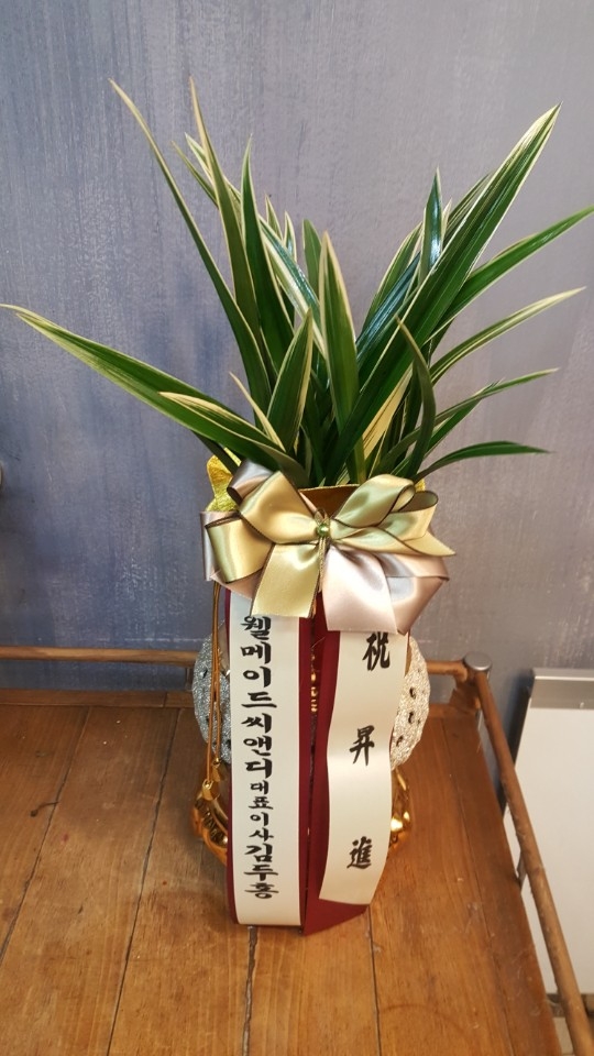 糭