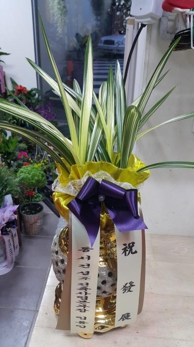糭