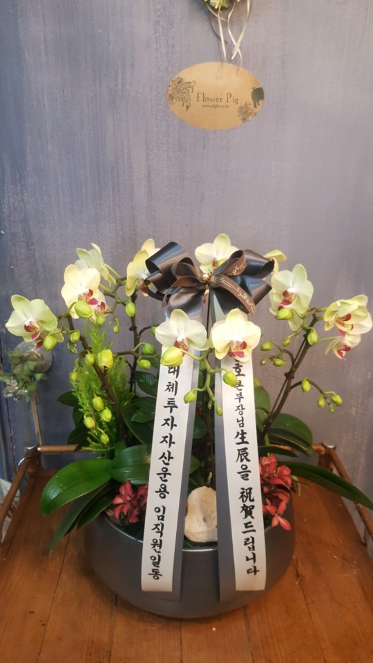 糭