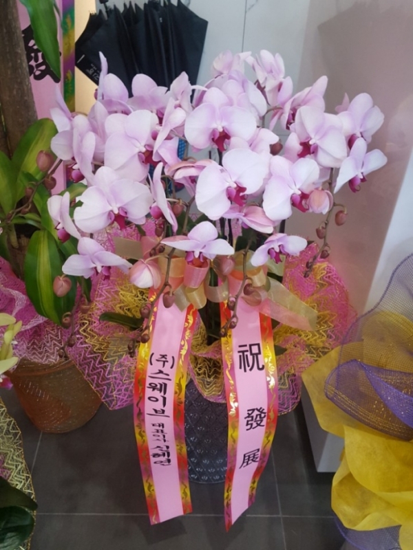 糭