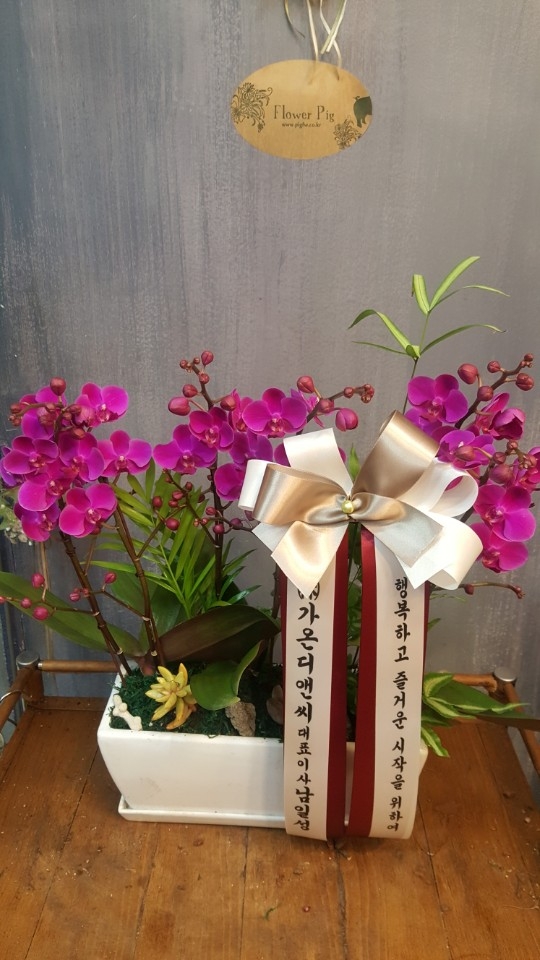 糭