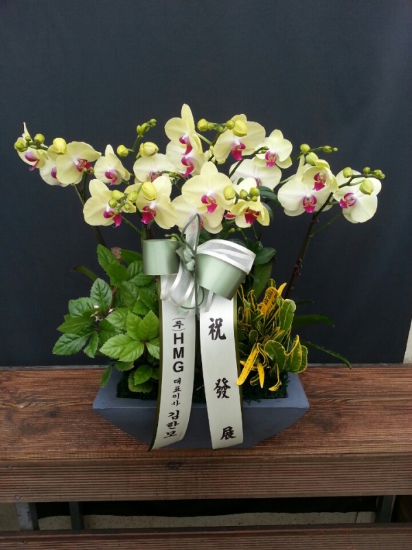 糭