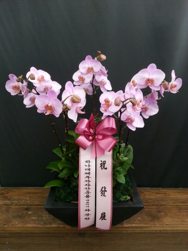 糭