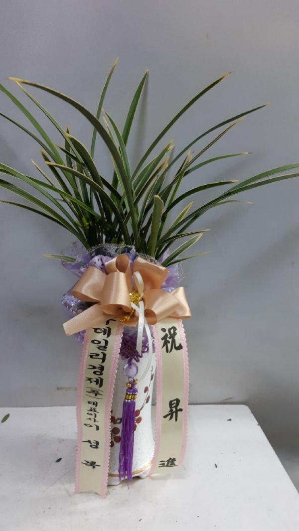 糭