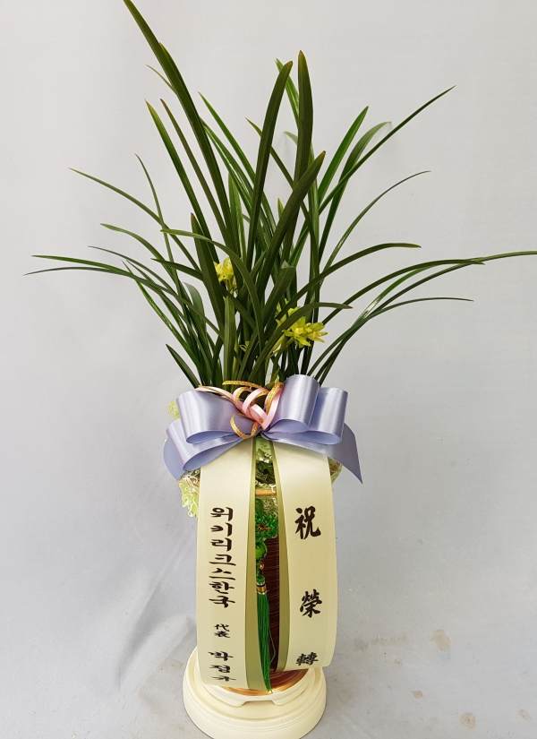 糭
