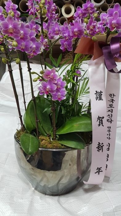 糭