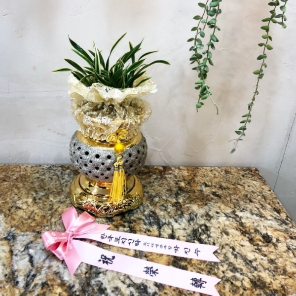 糭