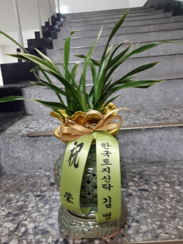 ѱŹ 躴