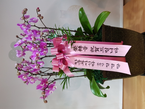 糭