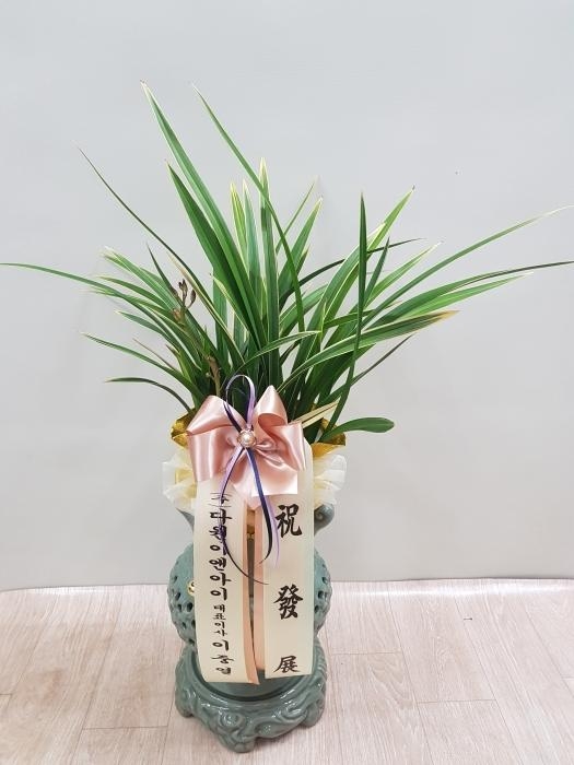 糭