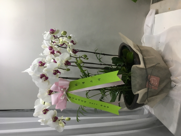 糭