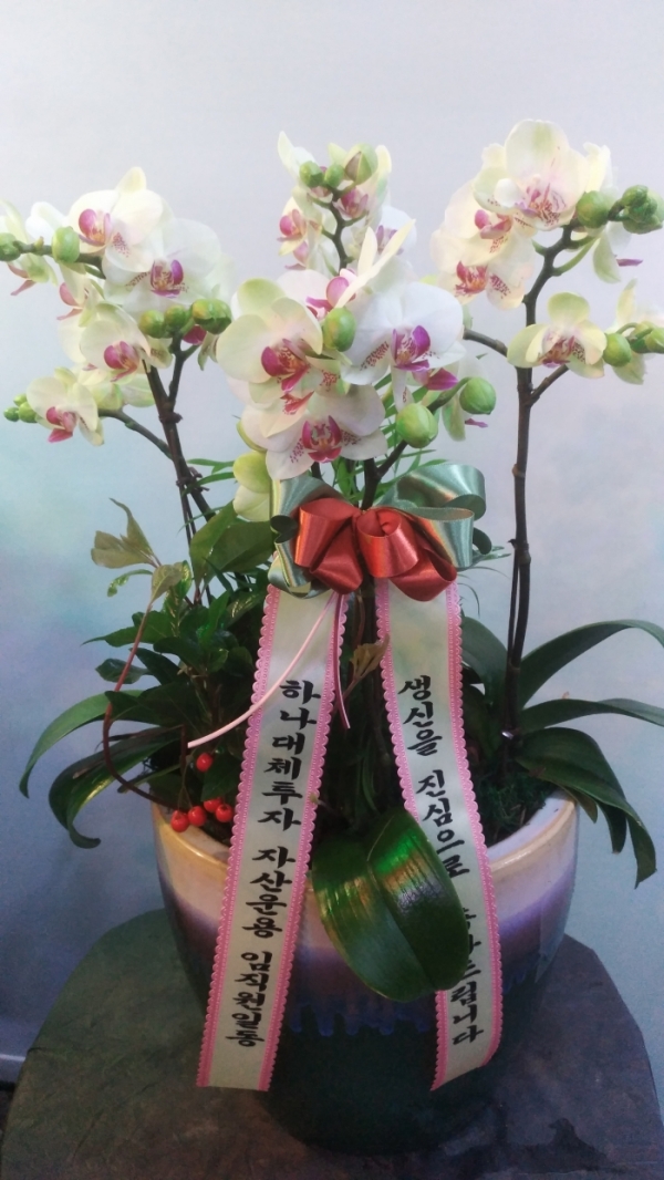 糭