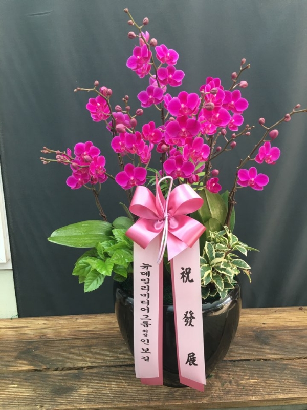 糭