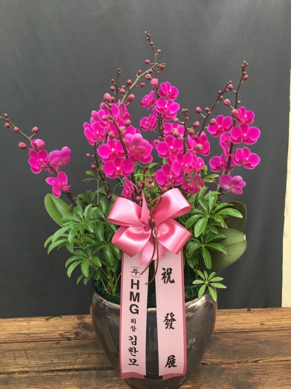 糭
