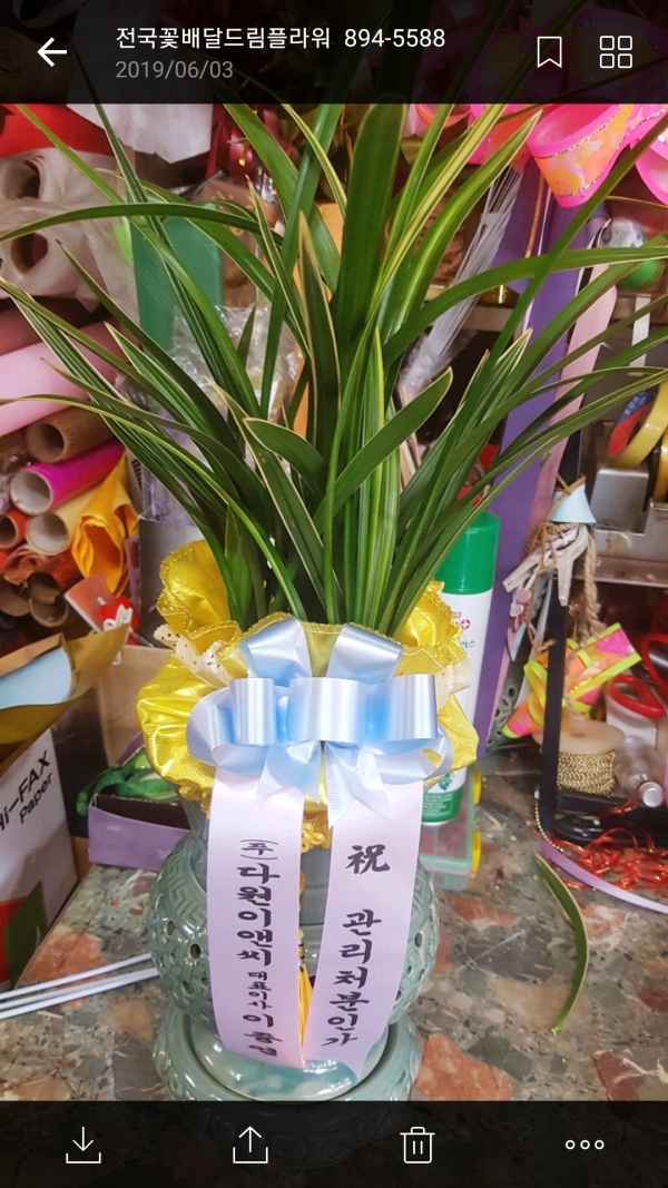 糭