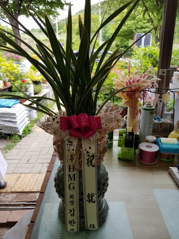 糭