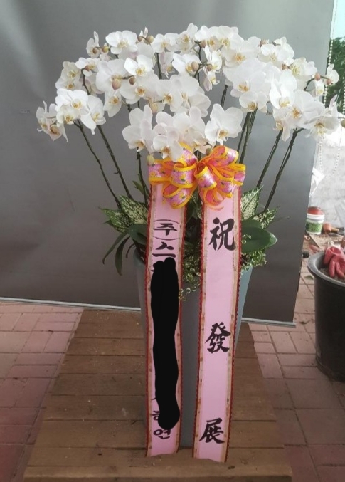 糭