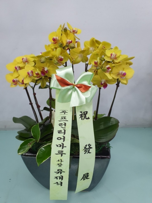 糭