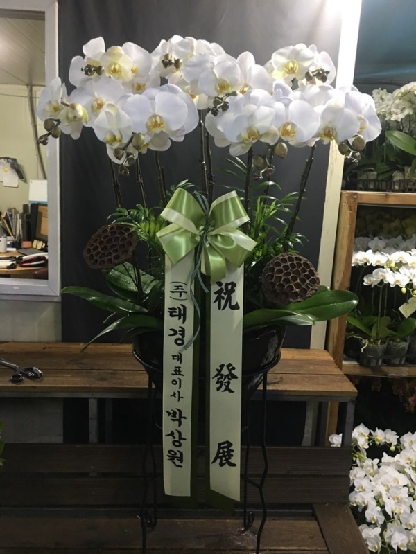 糭