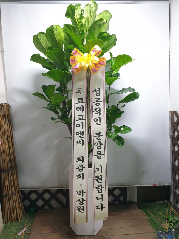 糭