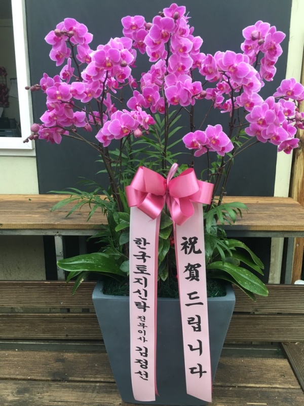 糭