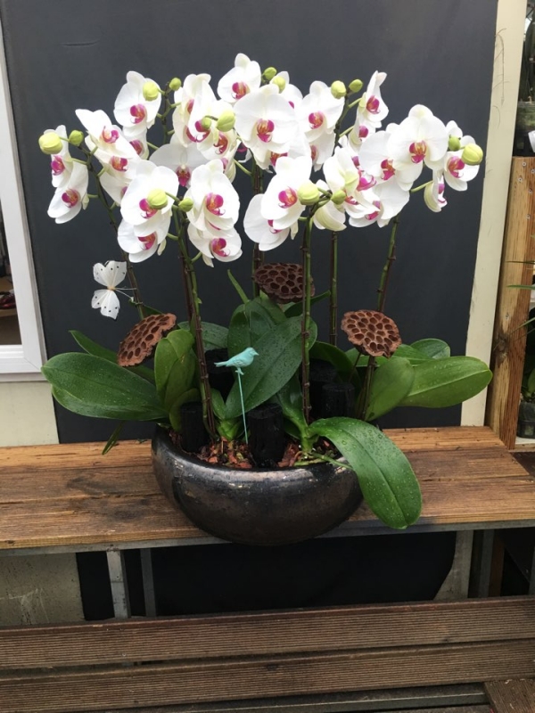 糭