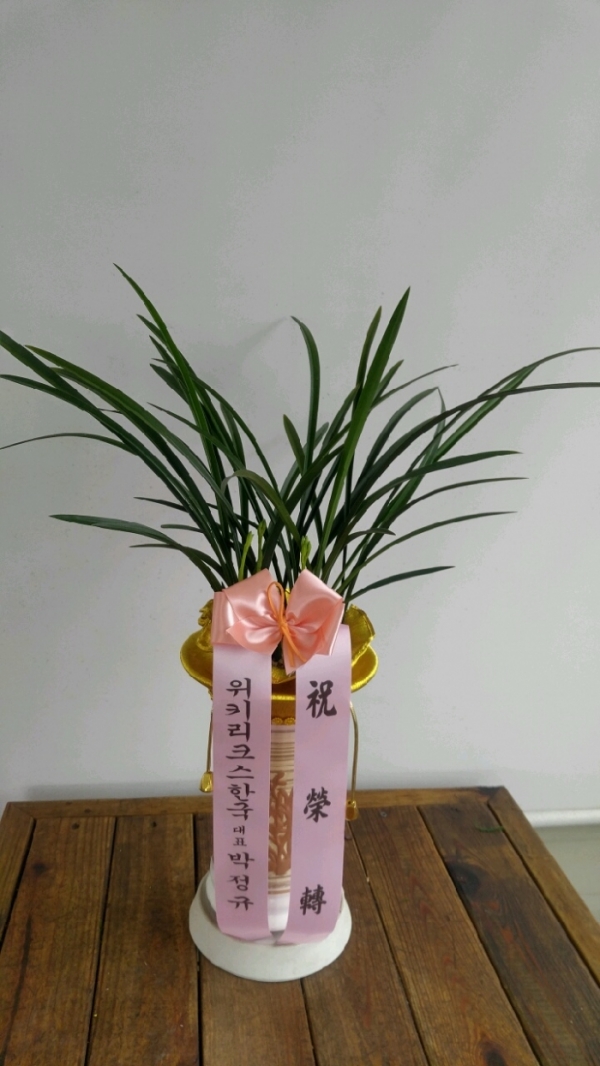 糭