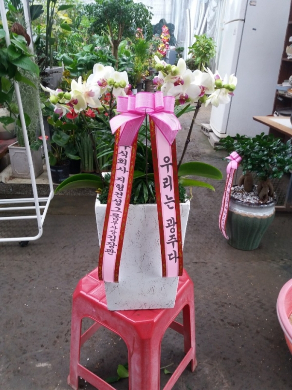 糭